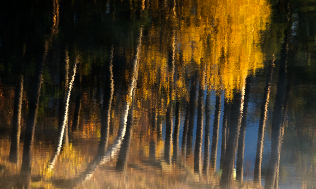Reflecții. Lacul Firiza, Maramureș
