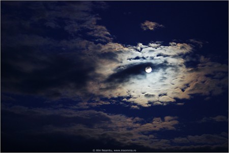Nocturna